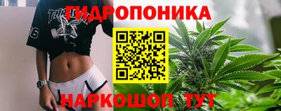 метадон Гусь-Хрустальный