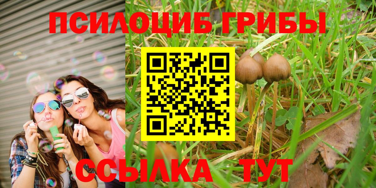 Псилоцибиновые грибы Psilocybe Мелеуз