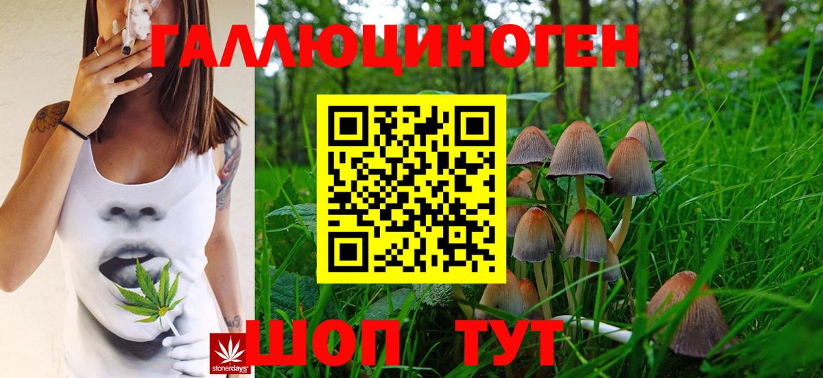 дарнет шоп  Псилоцибиновые грибы Cubensis  Вход с VPN  Мелеуз 